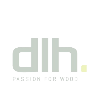 dlh global logo